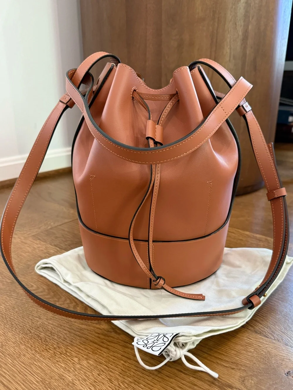 Loewe Balloon Bag - Picture 2 of 7
